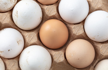 Fresh chicken eggs in industrial mud as a background