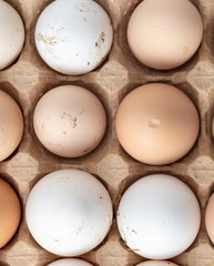 Fresh chicken eggs in industrial mud as a background