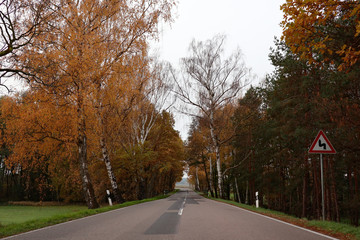 provincial road thourht forest with a double curve sign