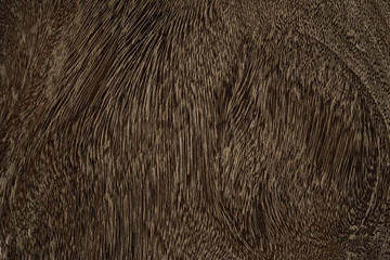 Dark Brown grey wood texture natural tree background