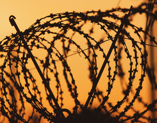 barbed wire on the fence against the backdrop of the sunset.