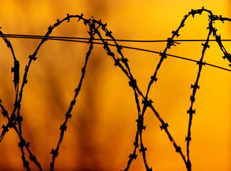 barbed wire on the fence against the backdrop of the sunset.