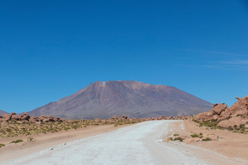 Track on the altiplano in Bolivia.
