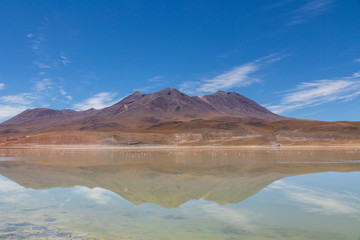 Laguna with flamingos on the altiplano in bolivia