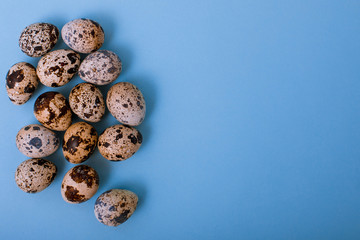 Fototapeta premium Quail eggs are on blue background. Easter card greeting. Flat lay. Copy space.