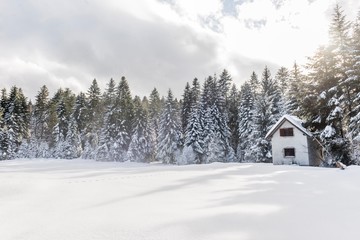Fototapeta na wymiar snowy road in winter forest