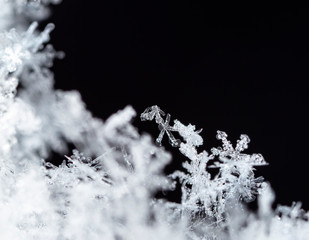 winter card, crystals of snow, winter photo