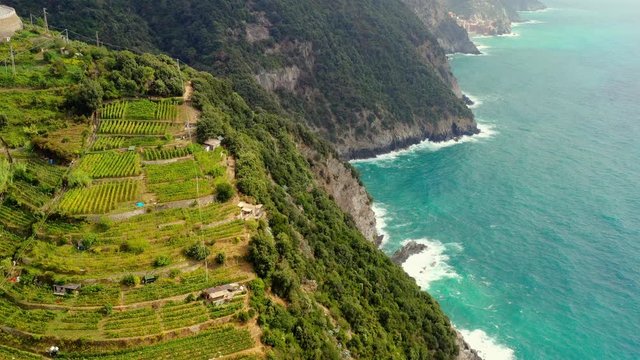 Amazing aerial shot over the vineyards on the terraces, along the Cinque Terre mountains, near the village of Monterosso in the municipality of La Spezia province, aerial view with a drone - travel co