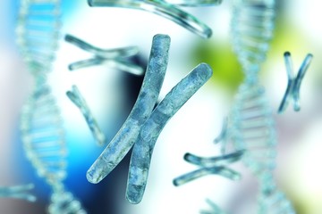 Human chromosome and DNA, genome, 3D rendering.