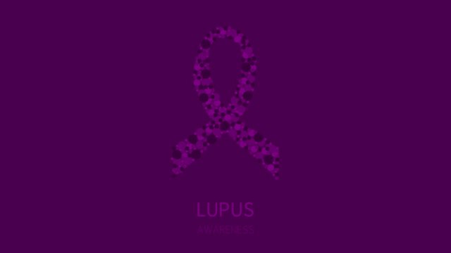 Lupus awareness ribbon animation of violet dots on purple background. Autoimmune disease symbol. Health medical concept. Motion graphics.