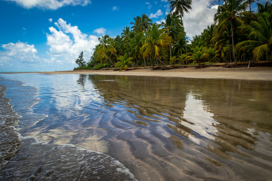 Beaches of Brazil - Maragogi Beach, Alagoas State