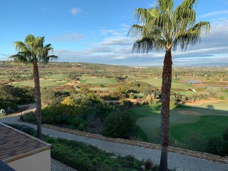 view from above of golf course with palm trees