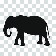 Black silhouette of an Asian elephant on a transparent background.
