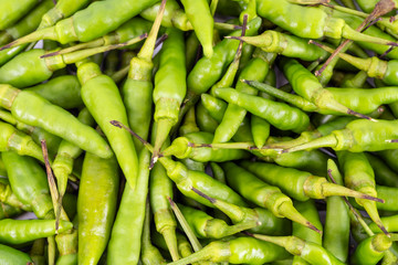A background of fresh hot and spicy green bird-chillie