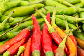 A mixed of  fresh hot and spicy red and green bird-chilli