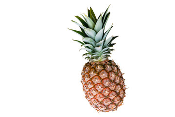 Isolated pineapple on a white background. The photo.