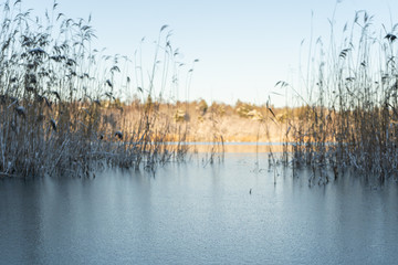 Frozen stream (canal) and trees with snow. Winter in scandinavia. Swedish landscape wallpaper. Nature photo.