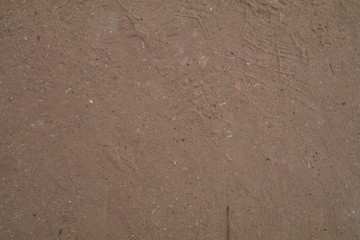 sand floor