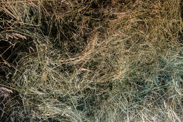 dry hay straw top view background
