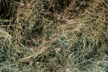 dry hay straw top view background