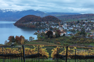 Goldener Herbst im Spiez