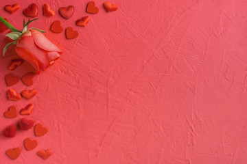 Festive composition from red rose and hearts scattered on pink background, valentines day concept, copy space