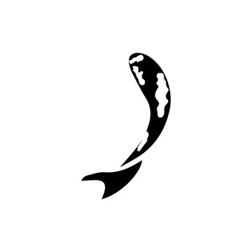 Koi fish animal  logo and symbols vector template