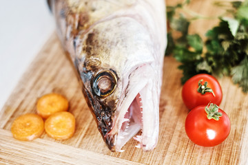 Walleye closeup