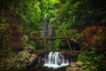 View of Labuhan Kebo Waterfall located in Munduk, Bali