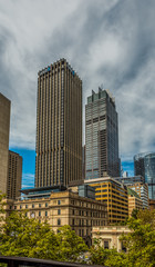 Fototapeta premium Sydney Skyline