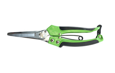 Garden pruner, green pruning shears isolate on white background.