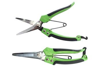 Garden pruner, green pruning shears isolate on white background.