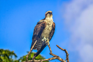 Curacao, Dutch Antilles
