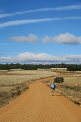 Obraz premium 산티아고순례길 풍경