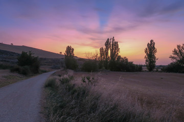 산티아고 순례길_산솔가는 길 풍경