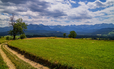 Obraz premium Panorama Tatr z Przełęczy Łapszanka