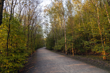 Fototapeta premium Fußweg Halde Beckstraße