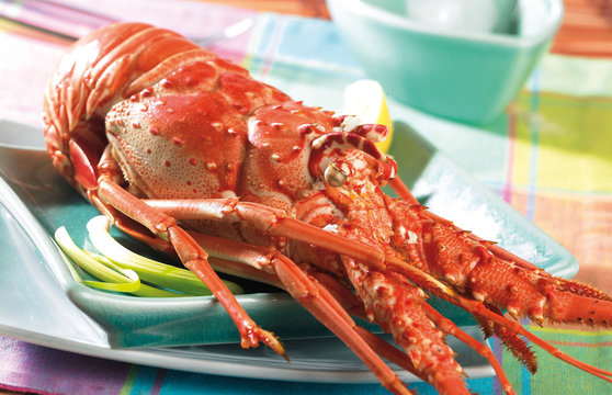 langouste