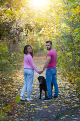 Naklejka na ściany i meble A young beautiful couple and their labrador walk in the Park. A man holding a woman's hand. Warm autumn evening in the forest.