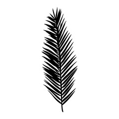 Silhouette of a palm leaf. Black tropical plant isolated on white background. Vector illustration