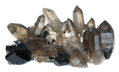 Cluster of brown smoky quartz crystals and black tourmaline (schorl variety), isolated on a white background. - obrazy, fototapety, plakaty