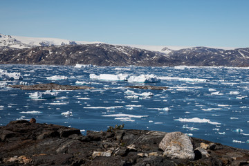 Die Wildnis Gr&ouml;nlands