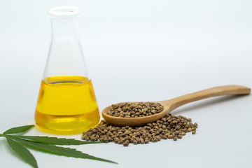 Hemp seeds and hemp oil on white background, CBD cannabis oil extract, marijuana  alternative herbal medicine concept.