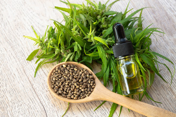 Hemp oil, Medical marijuana products including cannabis leaf,  cbd  and hash oil, alternative...