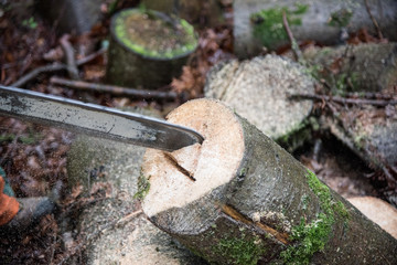bois troconneuse