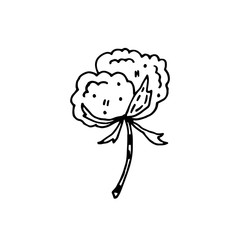 Fototapeta premium Cotton flower doodle vector illustration. Herbs. Organic ingredients. Eco friendly, vegan. Sticker, icon.