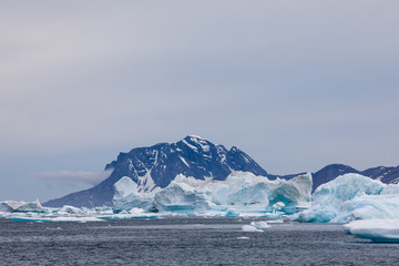 Die Wildnis Grönlands