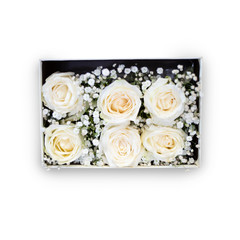 bouquet of white rose flowers in gift box set as valentine isolate white background