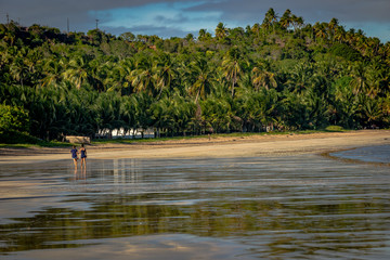 Beaches of Brazil - Maragogi Beach, Alagoas State