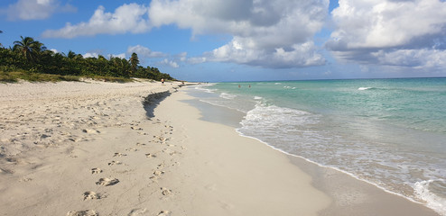 Fototapeta na wymiar view to a beach with palms